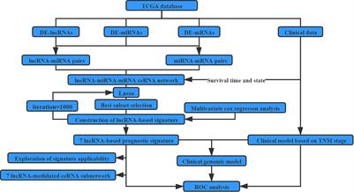 A Seven-Long Non-coding RNA Signature Improves Prognosis Prediction of Lung Adenocarcinoma: An Integrated Competing Endogenous RNA Network Analysis